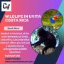 Explore Wildlife in Uvita, Costa Rica | Nature's Paradise