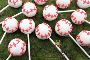 Candy's Cake Pops offers fun and delicious Sports Cake Pops 