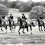 Quality Horse Tack Gear and Supplies by CanterCart