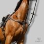 Buy Horse Products Online Fast Shipping at CanterCart