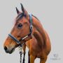 CanterCart Rhinestone Braiding Bands for Horses