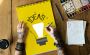 Expert Idea Consultation Services - Turn Your Vision Into Re