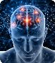 Find Your Neurologist in Yamuna Nagar at Capital Hospital