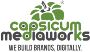 SEO For Doctors and Healthcare - Capsicum Mediaworks