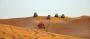 Desert Safari Sharjah: Explore the Majestic Desert