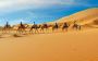 Best Desert Safari Dubai: Unforgettable Adventure Awaits