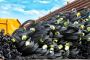 Top TMT Bar Dealer in Odisha