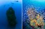 FIVE AMAZING UNDERWATER FORMATIONS YOU CAN DIVE FIVE AMAZING UNDERWATER FORMATIONS YOU CAN DIVE