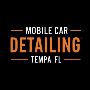 Best Mobile Car Detailing In Tampa, FL