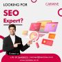 Boost Your Brand with SEO Services in Mumbai