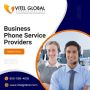 Business Phone Service Providers