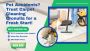 Pet Accidents? Call Carpet Cleaning Cronulla
