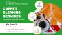 Burpengary’s #1 Choice for Deep Carpet Cleaning Solutions