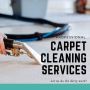 Fresh, Clean, and Allergen-Free Carpets in New Farm