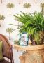  Elevate Memories with Casa by JJ: Glass Picture Frames UK