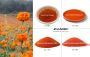 Marigold Extract - Lutein Esters Powder Bulk - ZolanBio 