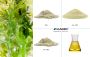 Algae Products - DHA microcapsule powder - ZolanBio