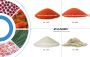 Microcapsule Products - lutein microcapsule powder - ZolanBi