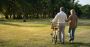 Find Estate Planning Attorneys in Bloomfield Hills Mi Find Estate Planning Attorneys in Bloomfield Hills Mi