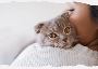 Cat Litter Manufacturers in India
