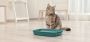 Cat Litter Manufacturer
