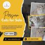 Persian Cats for Sale in Bangalore |Persian Kittens for Sale