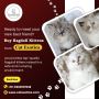 Buy Ragdoll Kittens in Bangalore | Ragdoll Cat in Bangalore