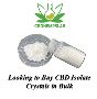 Looking to Buy CBD Isolate Crystals in Bulk
