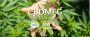 CBD Tincture Manufacturing | GMP certified CBD