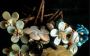 Shop Exquisite Handmade Hair Pins at CCcollections Shop Exquisite Handmade Hair Pins at CCcollections