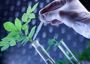 Plant Biotechnology Company India