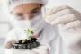 Plant Tissue Culture Manufacturers