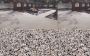 Durable Aggregate Concrete Driveways