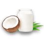 Frozen Coconut Cream Manufacturer and Supplier