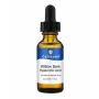 Youthful Glow Cellbone's Power Duo Hyaluronic and Salicylic 