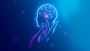 Best Deep Learning Training In Noida - Deep Learning Course
