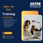 Transform Your Career with Comprehensive Python Full Stack 