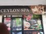 Feel calm with ceylon Spa in Gurugram