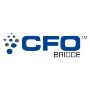 Virtual CFO Services in Bangalore