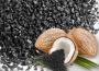 Best Activated carbon suppliers in USA | CG Carbon