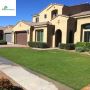  Experience Professional Gilbert Tree Service For A Healthy 
