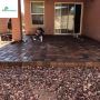 Professional Stump Removal Services for Smooth and Clear Law