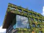 The Impact of Biophilic Design on Modern Architecture