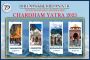 Book Char Dham Yatra Packages 2025 Uttarakhand for a Spiritu
