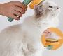 Buy Pet Pumpkin Brush