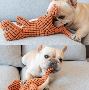 Indestructible Rrobust Dino