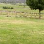 Experience a Yarra Valley wine tour with Chauffeur Drive Experience a Yarra Valley wine tour with Chauffeur Drive