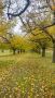 One night getaway Yarra Valley