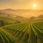 Yarra Valley Bespoke Tours – Private Luxury Wine & Food Expe
