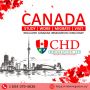 Trusted Immigration Company in Surrey for Hassle-Free Servic